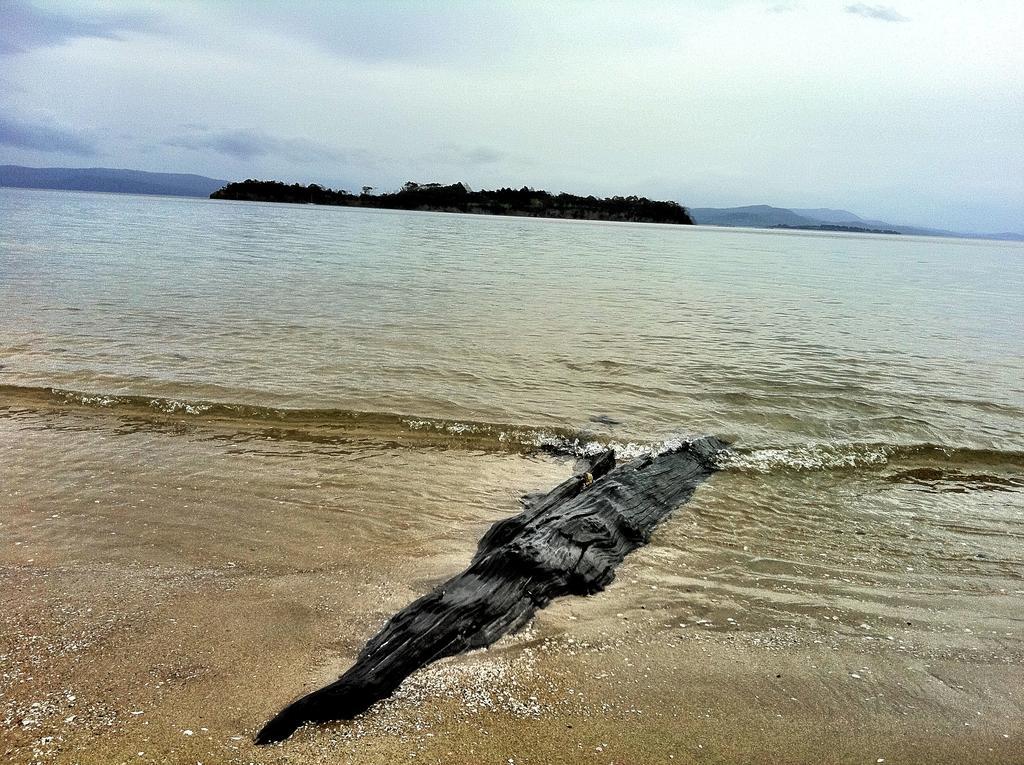 Discover Bruny Island Holiday Accommodation Alonnah Экстерьер фото