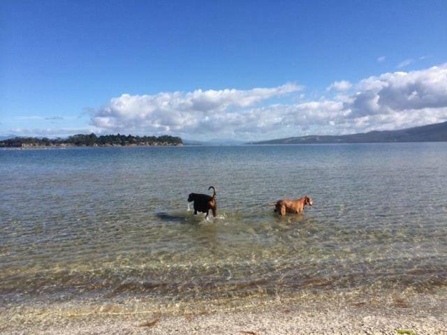 Discover Bruny Island Holiday Accommodation Alonnah Экстерьер фото